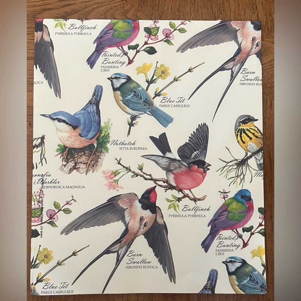2 brand new sheets vintage gift wrap butterfly and birds